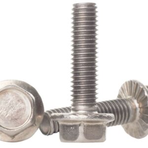 SS FLANGE HEADED BOLT
