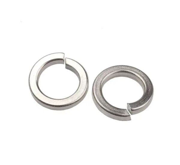 SS SPRING WASHER