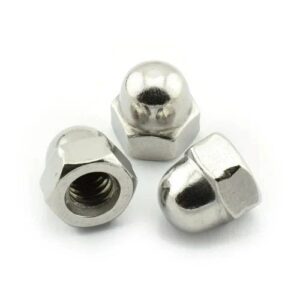 SS DOME NUT