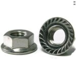 SS FLANGE NUT
